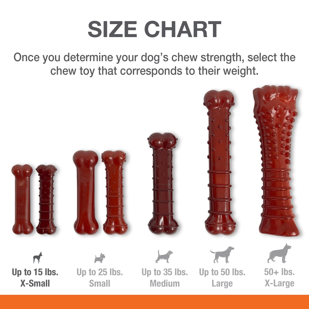 Nylabone Power Chew Basted Blast Dual Flavored Dog Toys, Small, Pack of 2