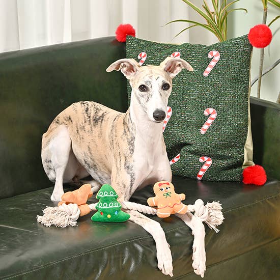 Happy Woofmas - Holiday Gingerbread Man