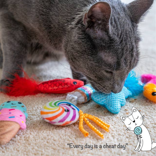 Candy Catnip Cat Toys 6-Pack | Plush Interactive Cat Toys with Catnip, Feathers & Crinkle