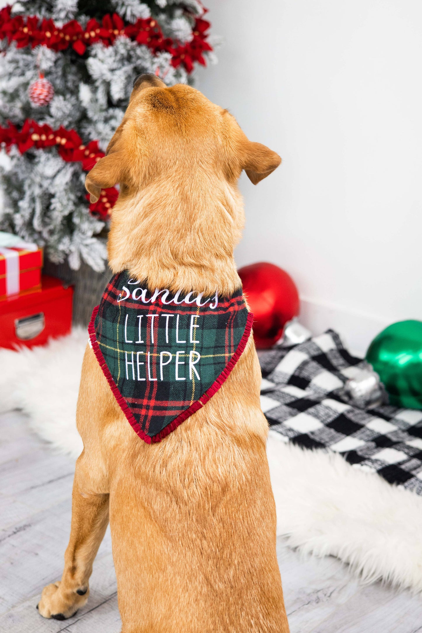 Santa's Little Helper Plaid Christmas Dog Bandana, M/L