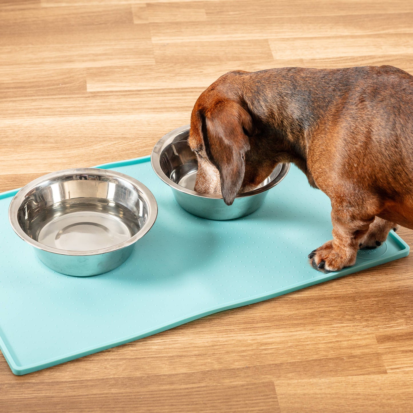 Silicone Mess Free Pet Placemat