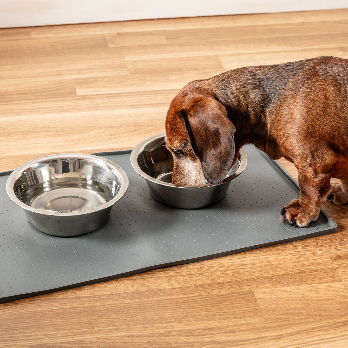 Silicone Mess Free Pet Placemat