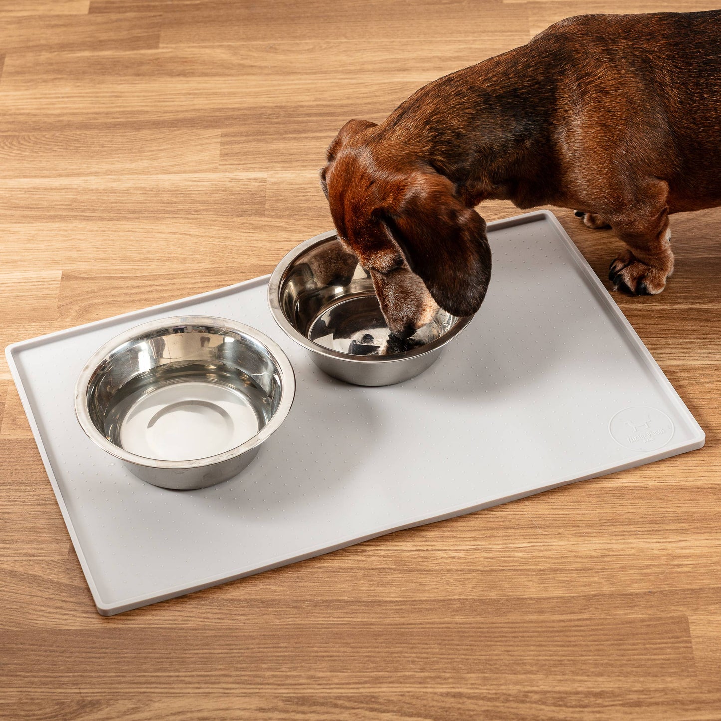 Silicone Mess Free Pet Placemat