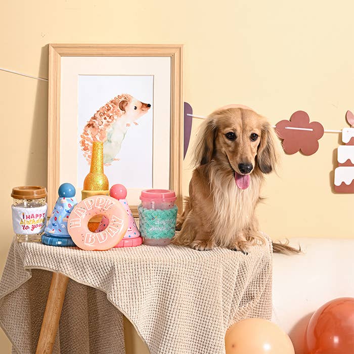Yappy Birthday - Blue Party Hat