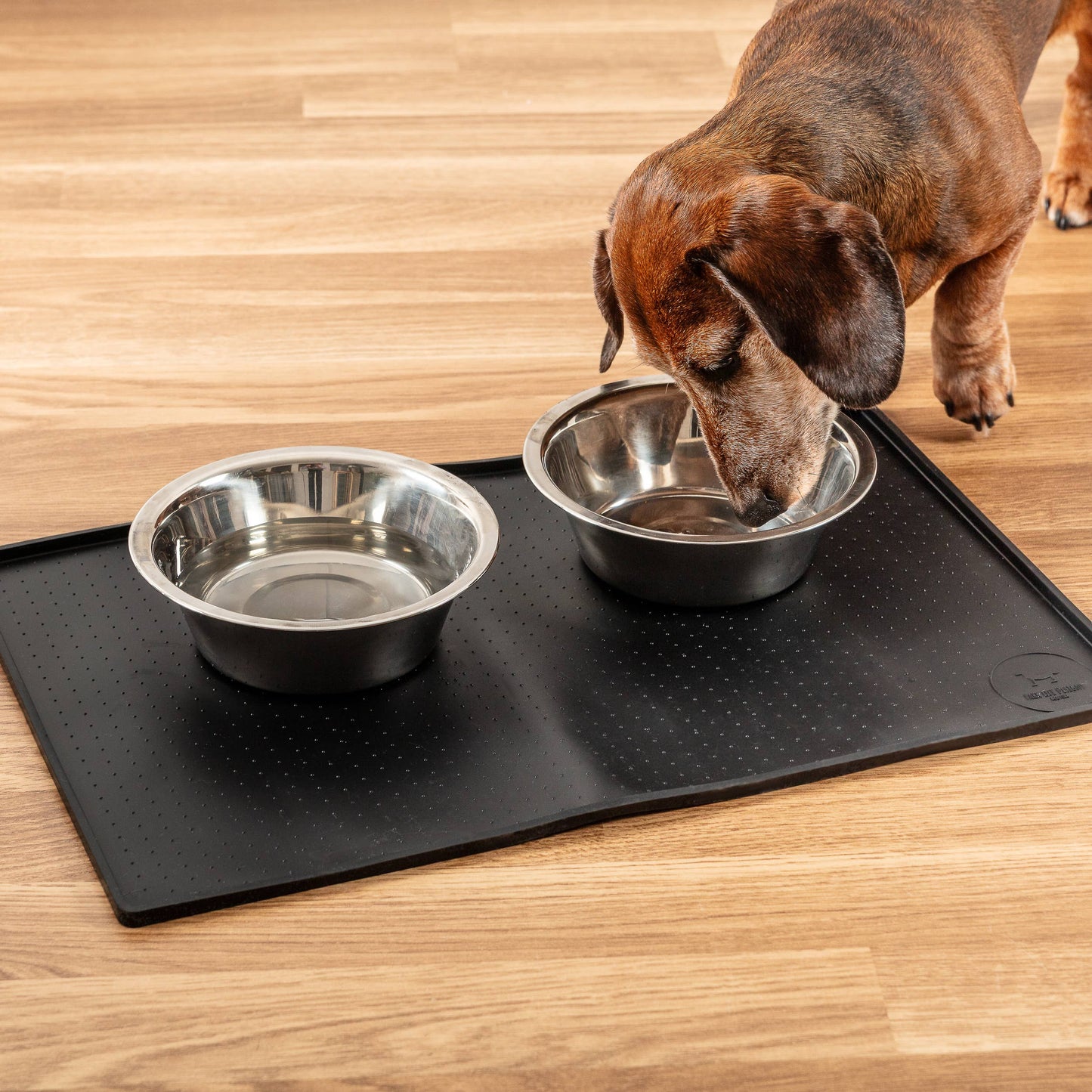 Silicone Mess Free Pet Placemat