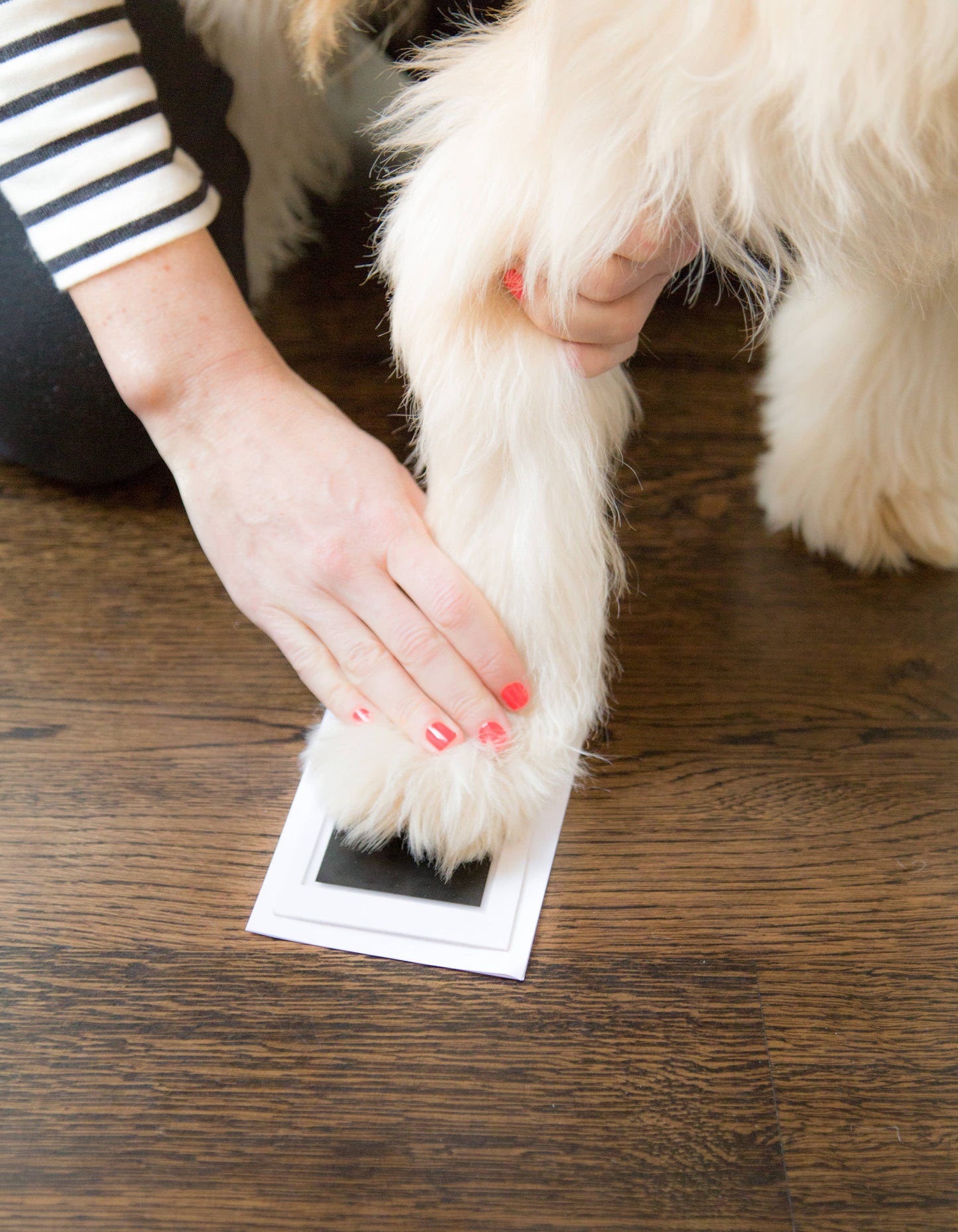 Pet Pawprints Clean - Touch Ink Pad for Dogs and Cats