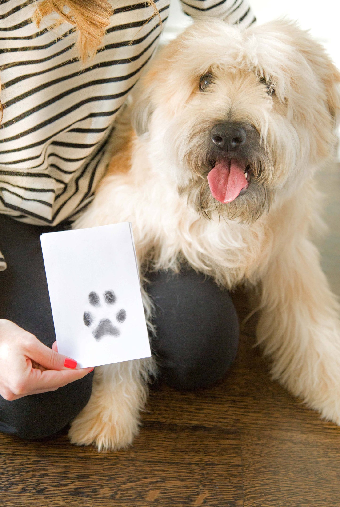 Pet Pawprints Clean - Touch Ink Pad for Dogs and Cats