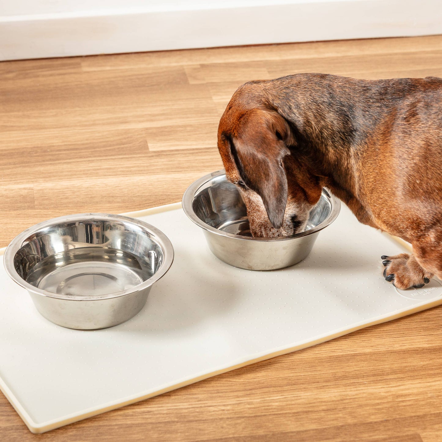 Silicone Mess Free Pet Placemat