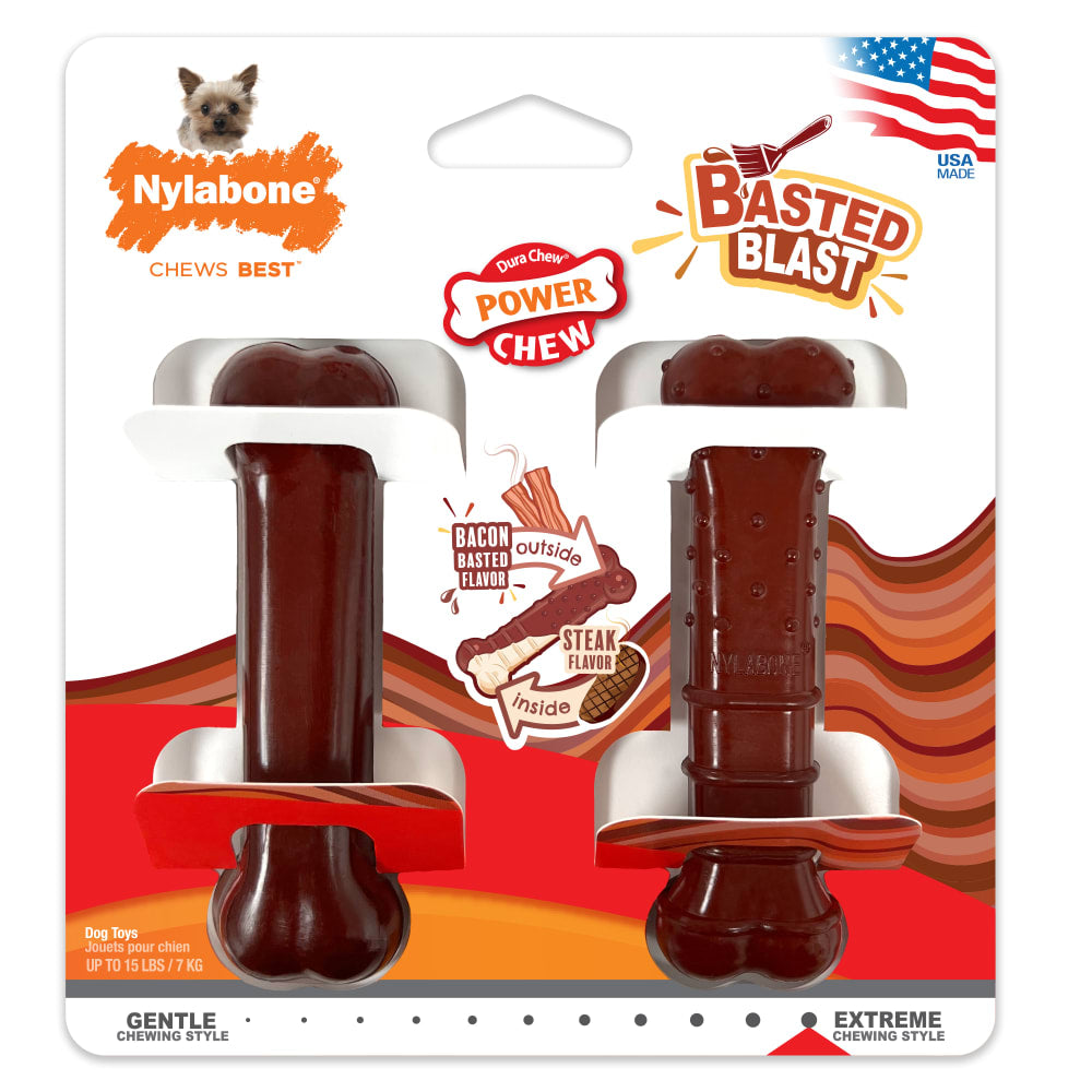 Nylabone Power Chew Basted Blast Dual Flavored Dog Toys, Small, Pack of 2
