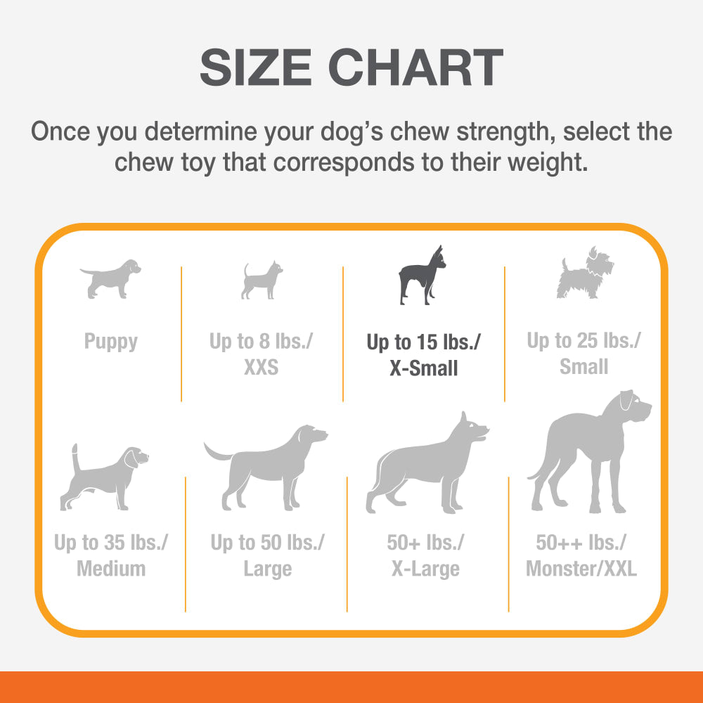 Power Chew Basted Blast Textured Bone Dog Chew Toy